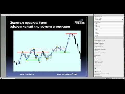 Вебинар forex