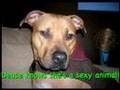 Deuce Knows Thumbnail