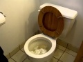 Sanitary Toilet Plunger PlungeMAX No Mess