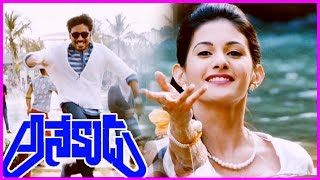 Anekudu Trailer / Teaser / Theatrical Trailer - Dhanush ,Amyra Dastur (HD)