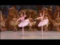 Sleeping Beauty ballet- opéra de Paris