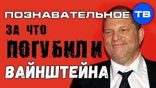 За что погубили Вайнштейна? (Елена Гоголь)