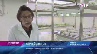 Малые города России: Пущино - где выращивают землянику с тропическим вкусом