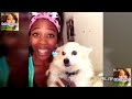 Image Video Lucu Banget Bikin Ngakak Video Lucu Youtube Lucu Vidio Kocak Gokil Kumpulan Lucu Terbaru 41