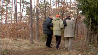 Ilse wo bist Du Trailer_16x9