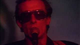 Graham Parker Don't Ask Me Questions Trailer Graham Parker Don't Ask Me Questions Trailer