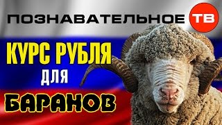 Высказывания: Курс рубля для баранов (Артём Войтенков)