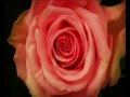 4cW_Zp6dnrQ