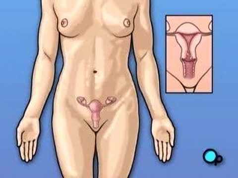 Rencontre femme audun le tiche
