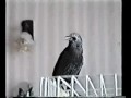 4jrGn2L0AA0