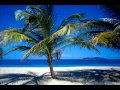 Merengue Party - LouDelta Sunshine Mix (136 bpm)- .wmv