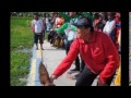 Picture Burung Merpati Balap Juara Sprint Burung Dara Balap Juara