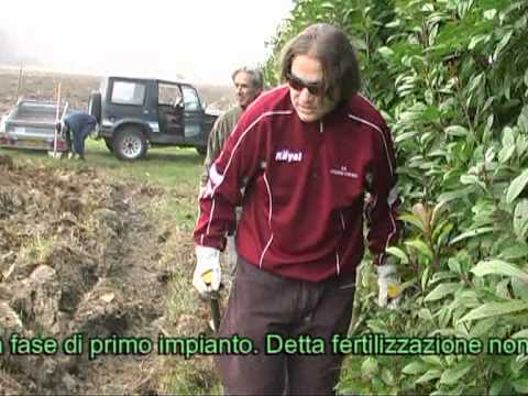 MDF Parma - ORTO SINERGICO giorno 1