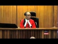 Oscar Pistorius Trial: Cricket bat slamming gets heard in court
