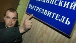 Правительство встало на защиту пьяных россиян
