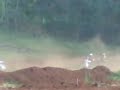 Image Balap Motocross