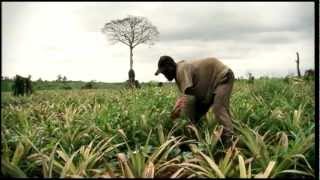 Small Farmers - Big Business? Trailer EUDevDays 2012