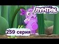 5lX0GJyaoPg