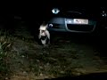 Photo Gates Partouza Γατο Παρτουζα Triple Cat