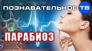 ПАРАБИОЗ: красота, здоровье, работоспособность (Олег Мульцин)