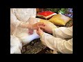 Image Kasih Sayang Suami Isteri A Ramlie Maria Bachok