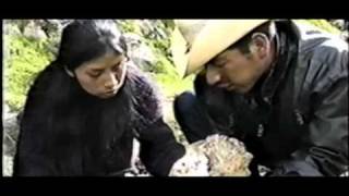 "HUACA" (Trailer) año 2000