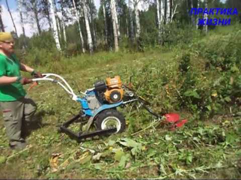 Посадка под мотоблок видео Посадка под мотоблок видео