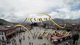 Drensol Official Trailer 2015