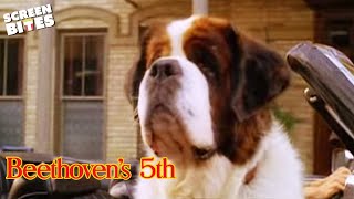 "Beethoven's 5th" - Official Trailer