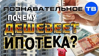 Почему дешевеет ипотека? (Артём Войтенков)