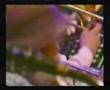 Eumir Deodato - North Sea Jazz Festival 2002