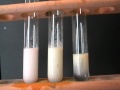 Halides in solution: Test using acidified silver nitrate.  From 20to9.com