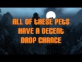 Making Gold In Burning Crusade Raids - New Battle Pets - Dubisttot