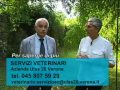 Screening leishmaniosi canina Screening leishmaniosi canina