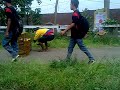 Image Merpati Balap Latih Piyikan Hdp Bird Farm Sumedang