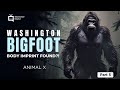 Part 5 Bigfoot Hunt Skookum - Animal X Classic