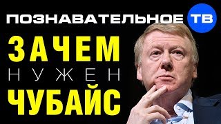 Зачем нужен Чубайс? (Артём Войтенков)