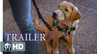 Pick of the Litter Clip #1 2018 Official HD Movie Trailers