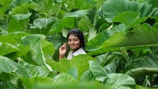 Kayal - Yen Aala Paakkaporaen Song Teaser | D. Imman