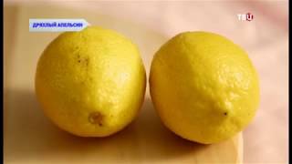Дряхлый апельсин. Без обмана