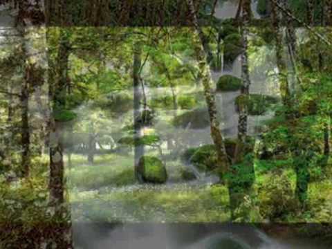 Hay Amor  - Alejandro Fernandez