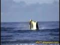 Photo All Funny Video Very Funny