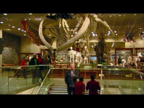 Arts Digest | Segment | Milwaukee Public Museum