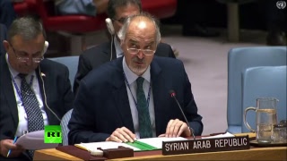 Совбез ООН проводит заседание по ситуации в Сирии