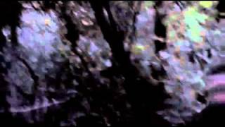 Forget Me Not Official Trailer 2010.wmv