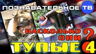 Насколько они тупые 4 (Познавательное ТВ, Наталия Локоть)