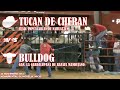 Image ¡autentico Jaripeo Torneo San Lorenzo Primer Eliminatoria En La Monumental De Morelia 2014