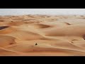 Martin Garrix & Third Party - Lions In The Wild Martin Garrix & Third Party - Lions In The Wild