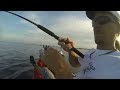 Picture Fishing With Shrimp