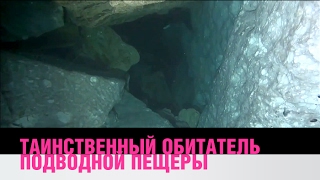 Таинственный обитатель подводной пещеры